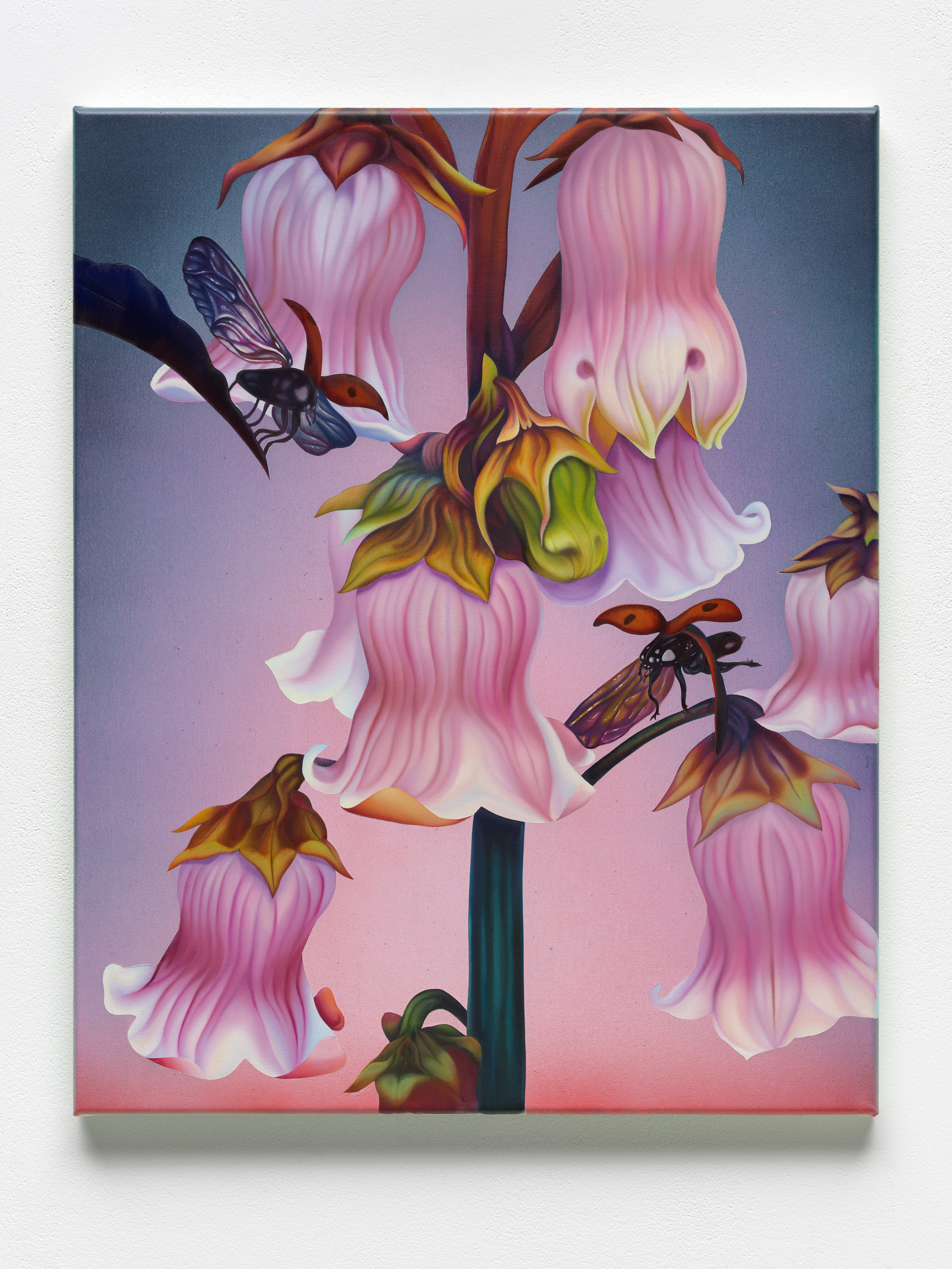 Melanie Loureiro - A Wish has been Granted, 2024