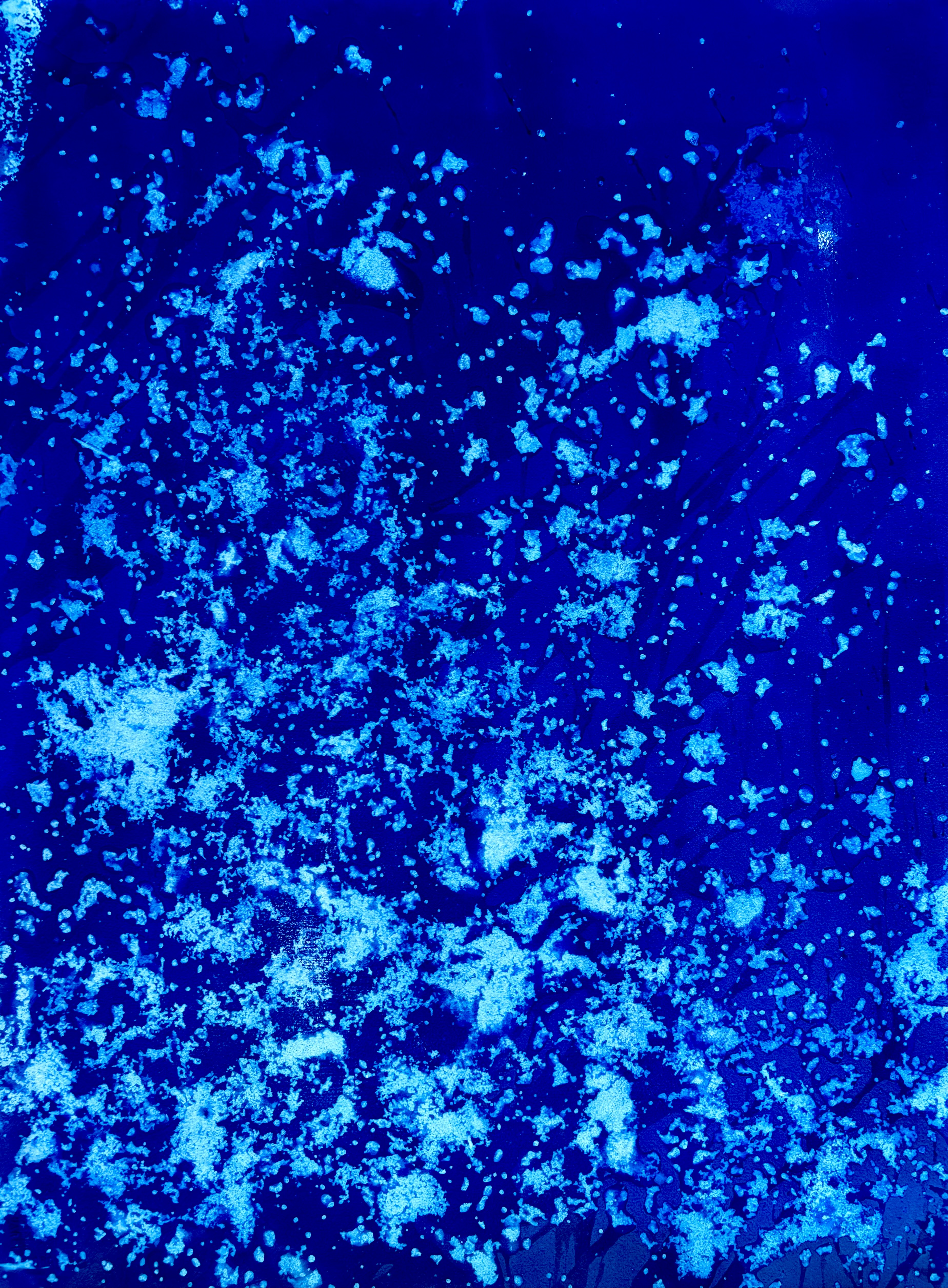 Blanesth - Bighorn National Forest, 2023