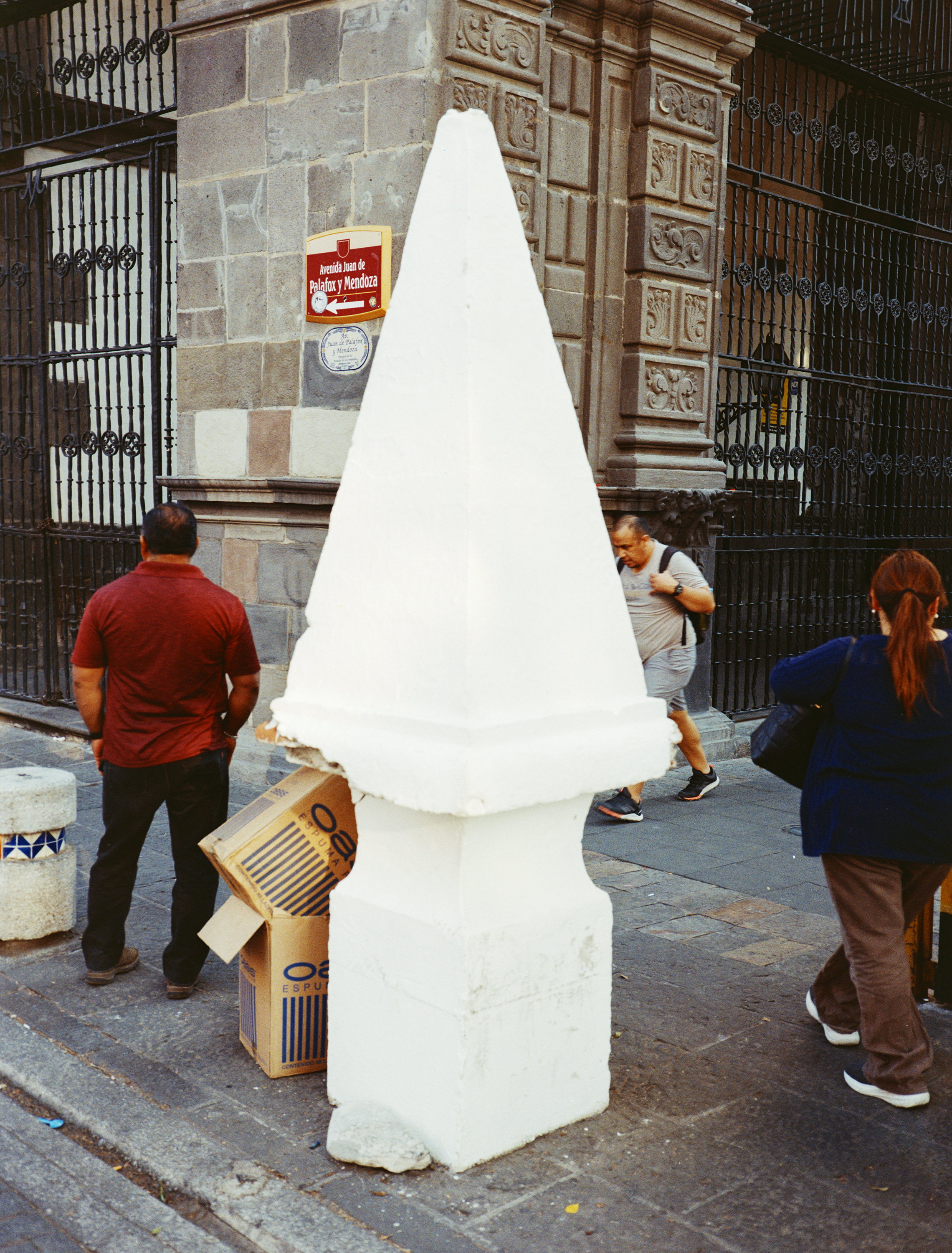 Daniel Wagener - no title (from the arboles series)