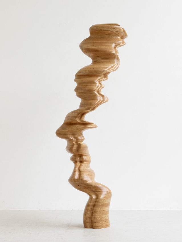 Tony Cragg - Ivy, 2018