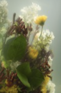 Vincent Olinet - I Can?t Perform Miracles 12, 2010