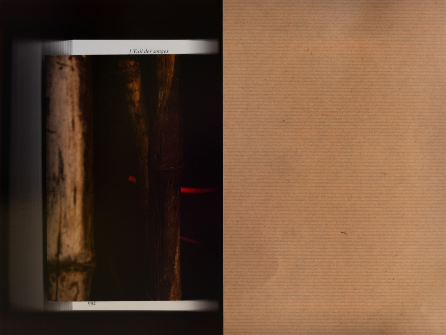 Ange-Frédéric Koffi - First proposition - word, image & myth VI, 2023