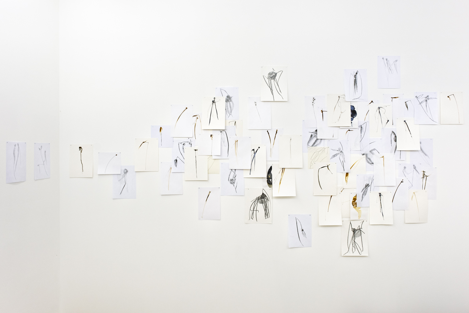 Boryana Petkova - La langage des fleurs, 2013/2015