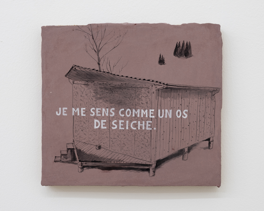 Dominique Dureau - Mtamorphose, 2011