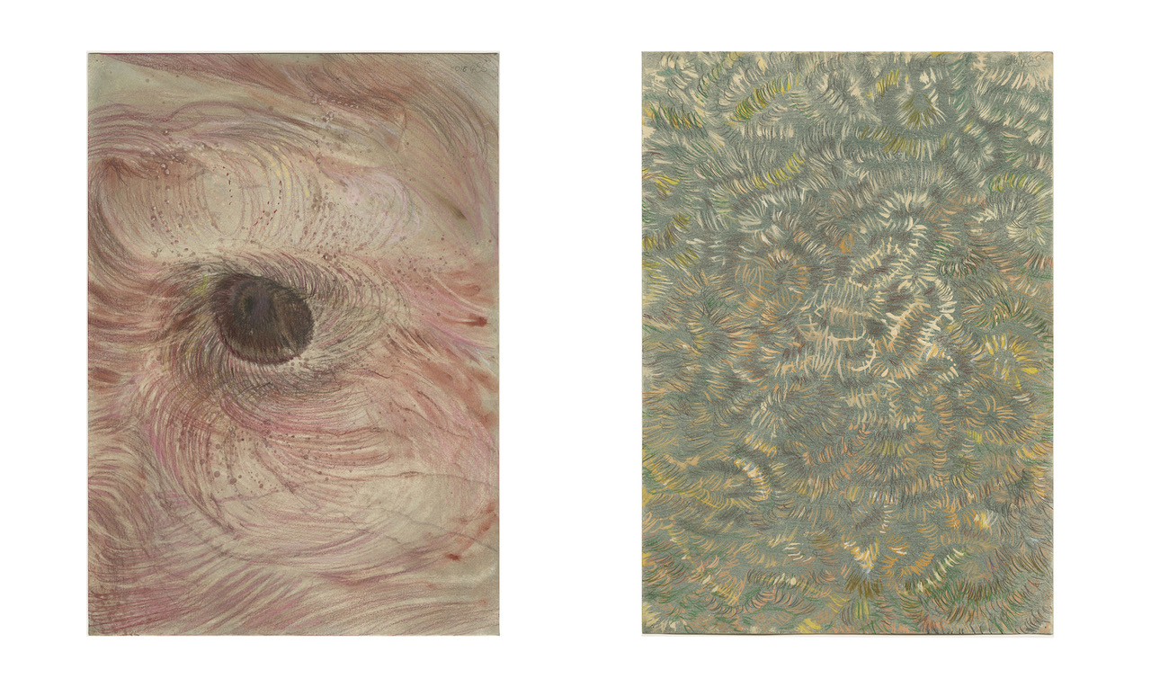 Elly Strik - l'Oeil vibrant (2 parts), 2008 - 2016