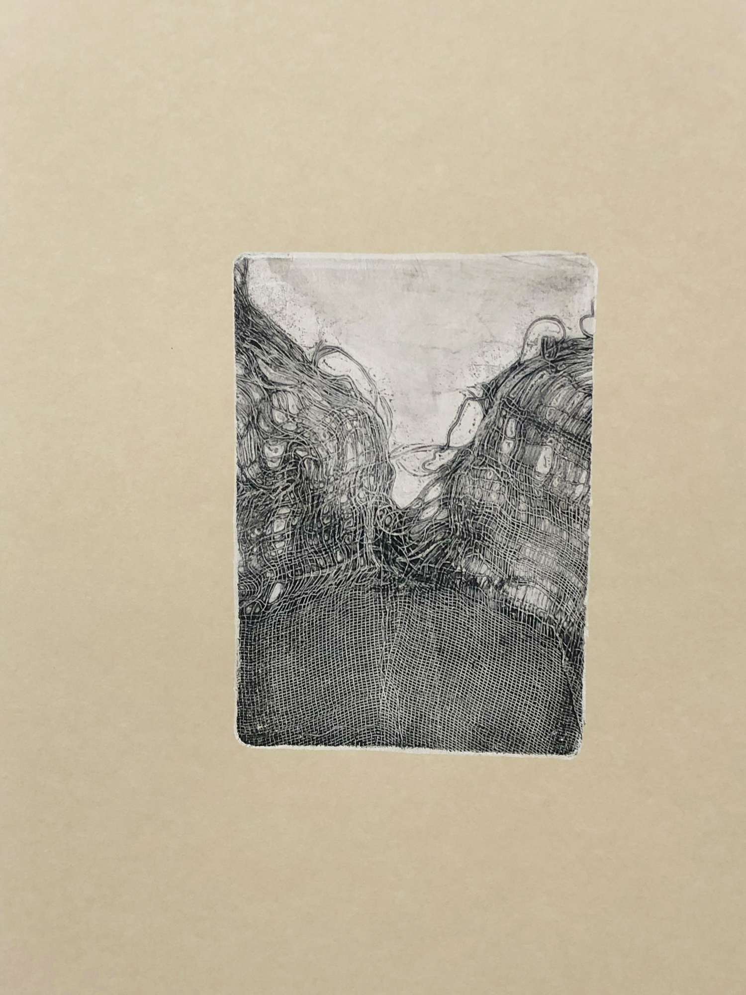 Fatiha Zemmouri - Untitled, 2025