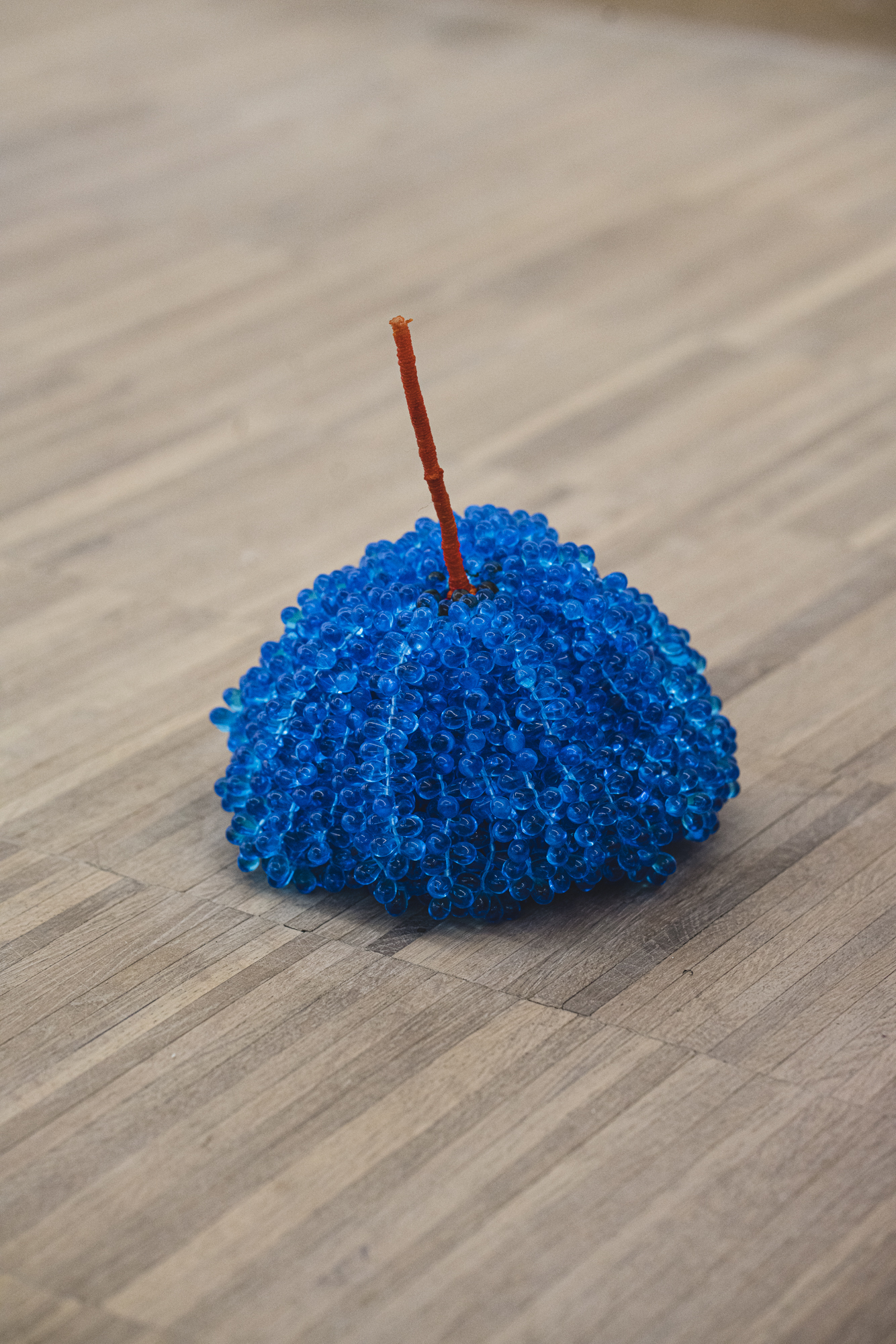 Lionel Estève - Fruit (petit bleu), 2020