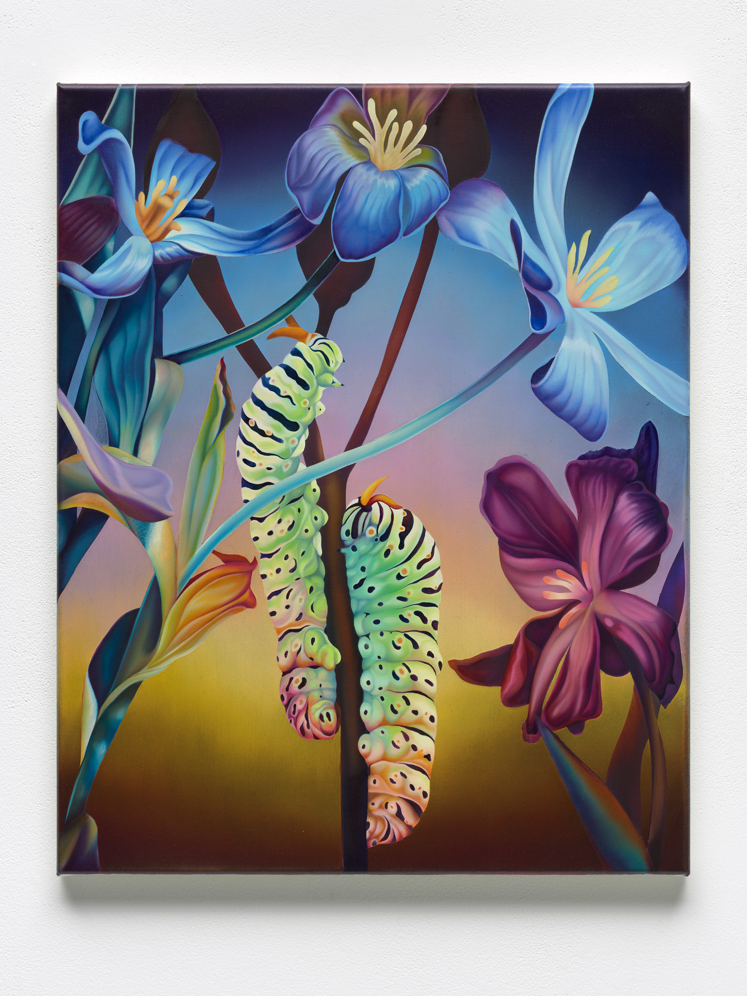 Melanie Loureiro - A Leaf is Like a Tongue, 2024