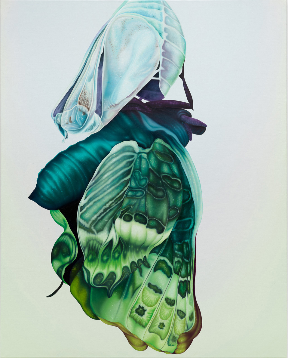 Melanie Loureiro - Halfway Through The Chrysalis The Wings are still Sticky, 2023