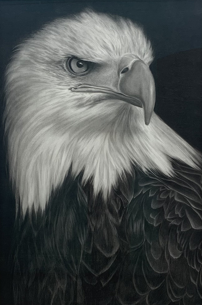 Nuno Lorena - Eagle 4, 2020