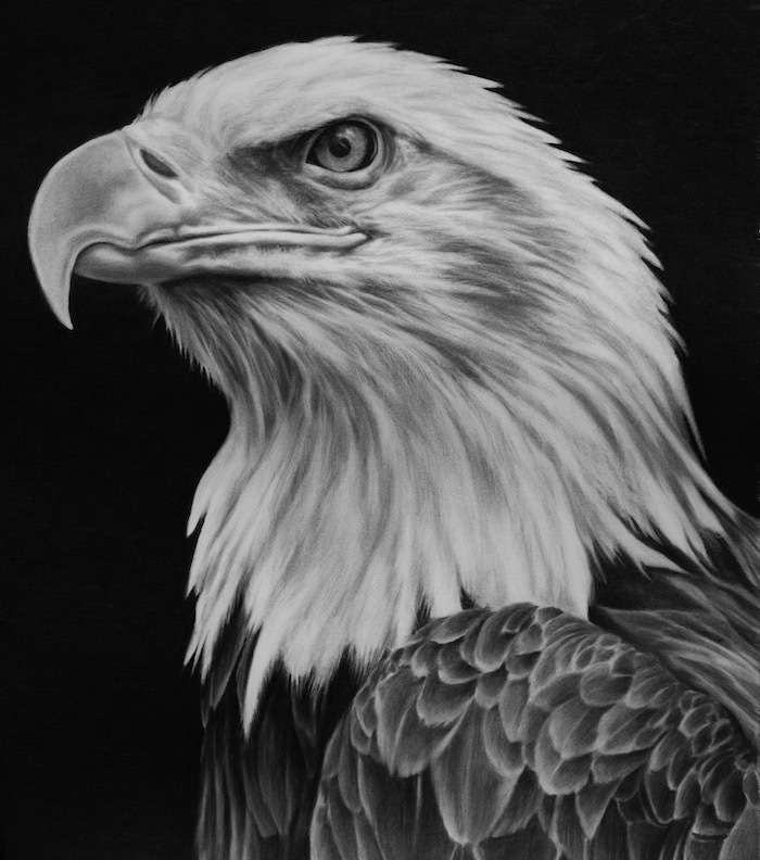 Nuno Lorena - Eagle 3, 2020