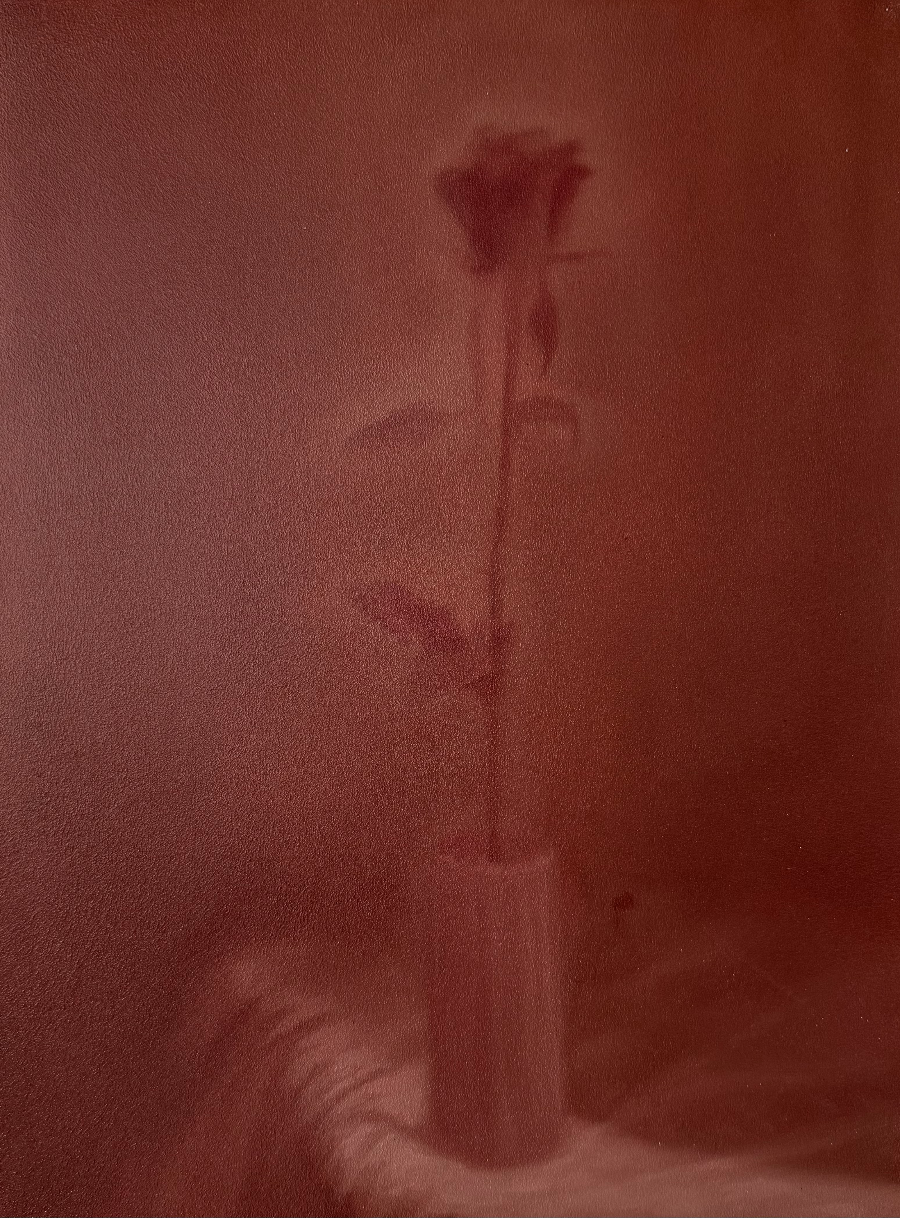 Nuno Lorena - Rose in vase, 2026