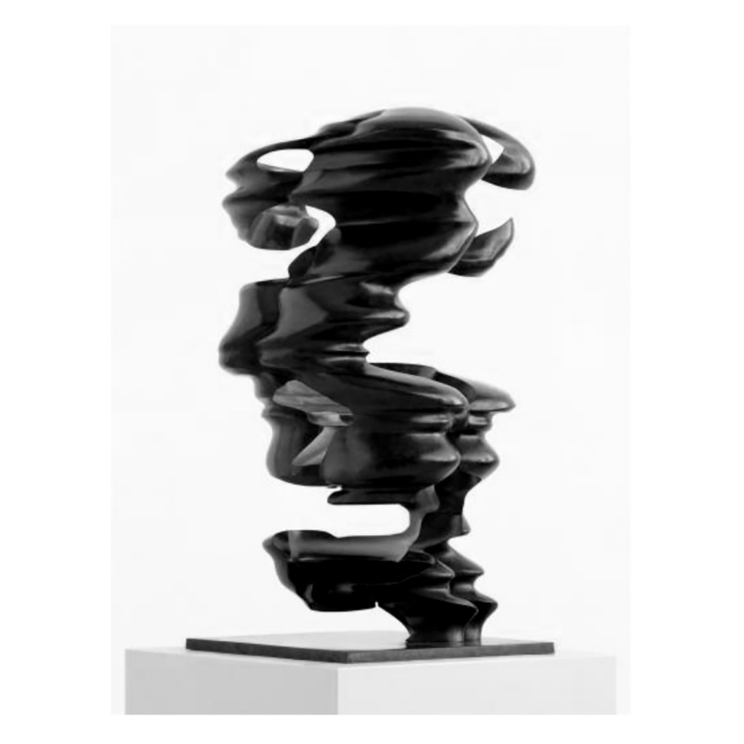 Tony Cragg - Hollow Head, 2019