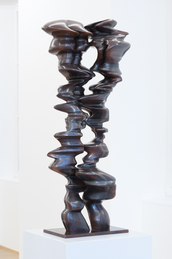 Tony Cragg - Untitled, 2019