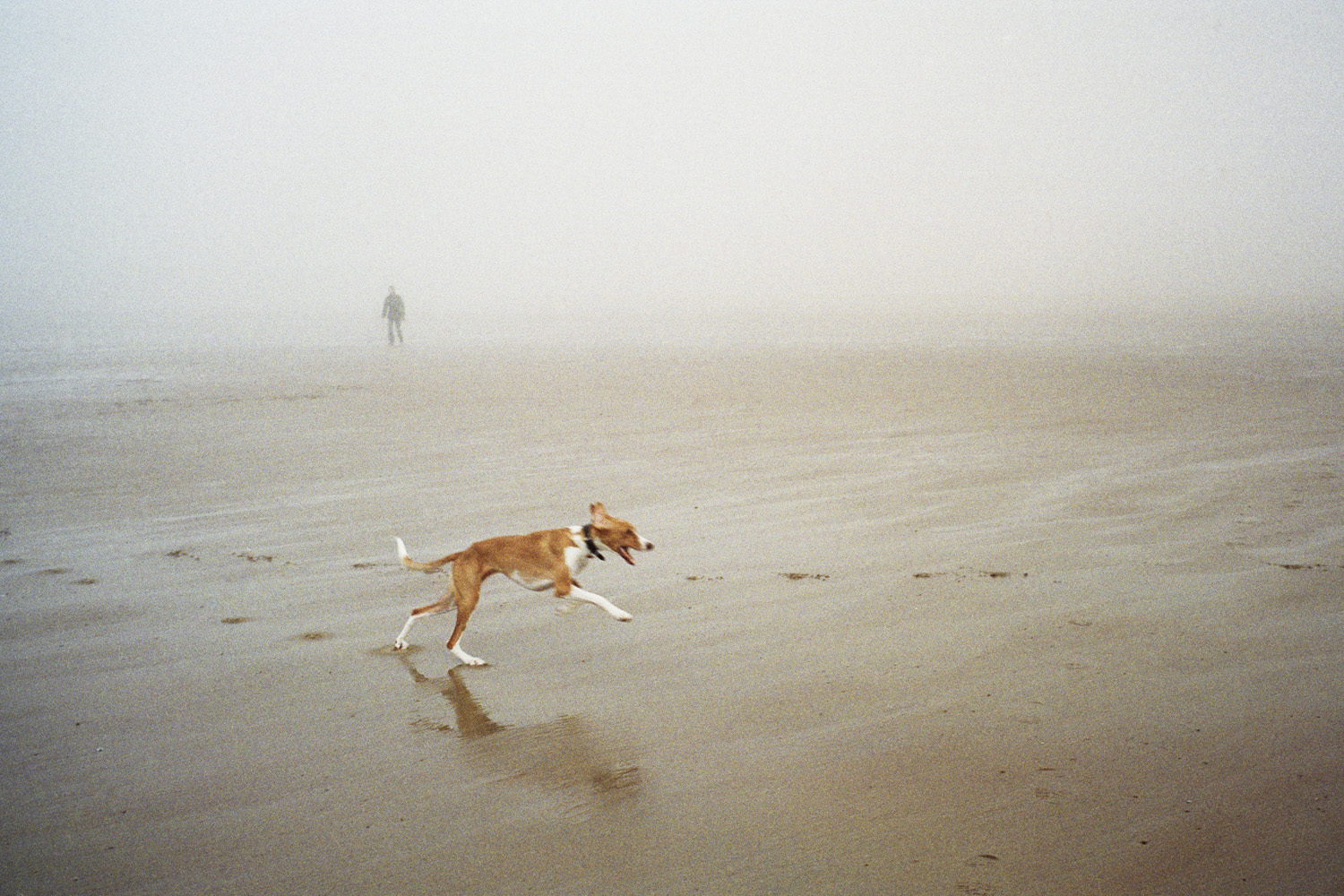 Yvon  Lambert - La plage, 2014