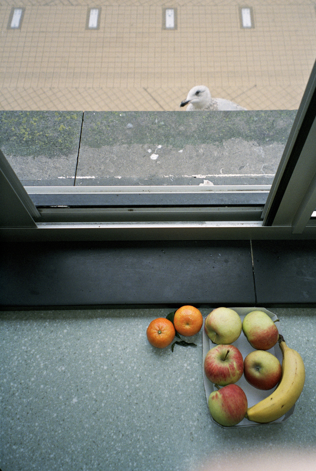 Yvon  Lambert - Vue vers la Promenade Albert 1er, 2013