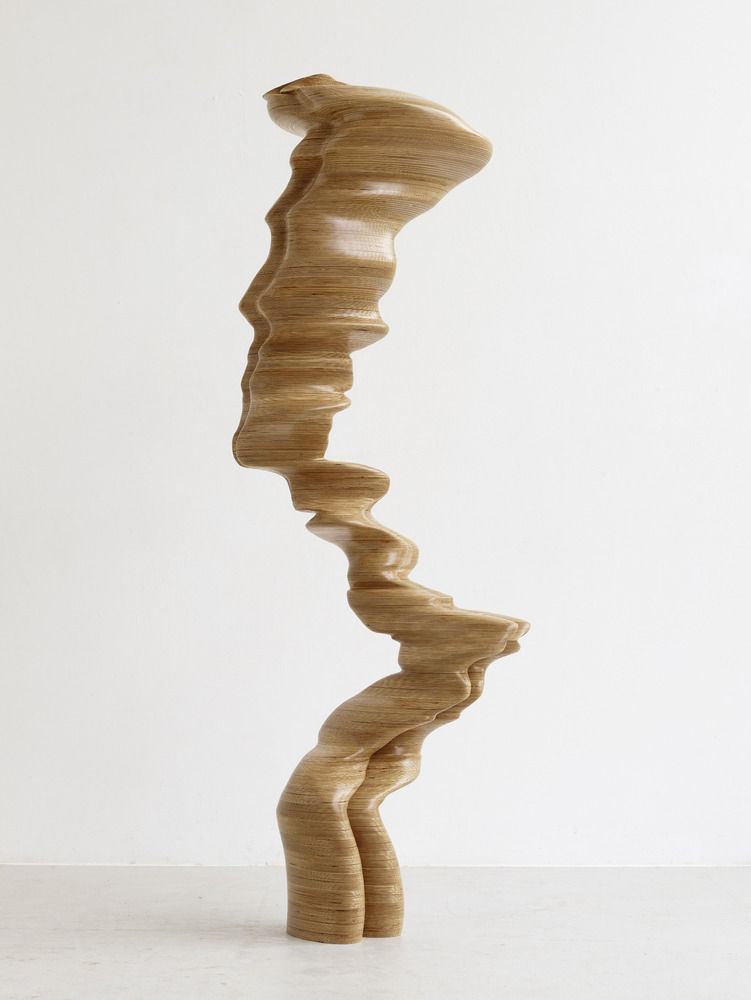 Tony Cragg - Ivy, 2018