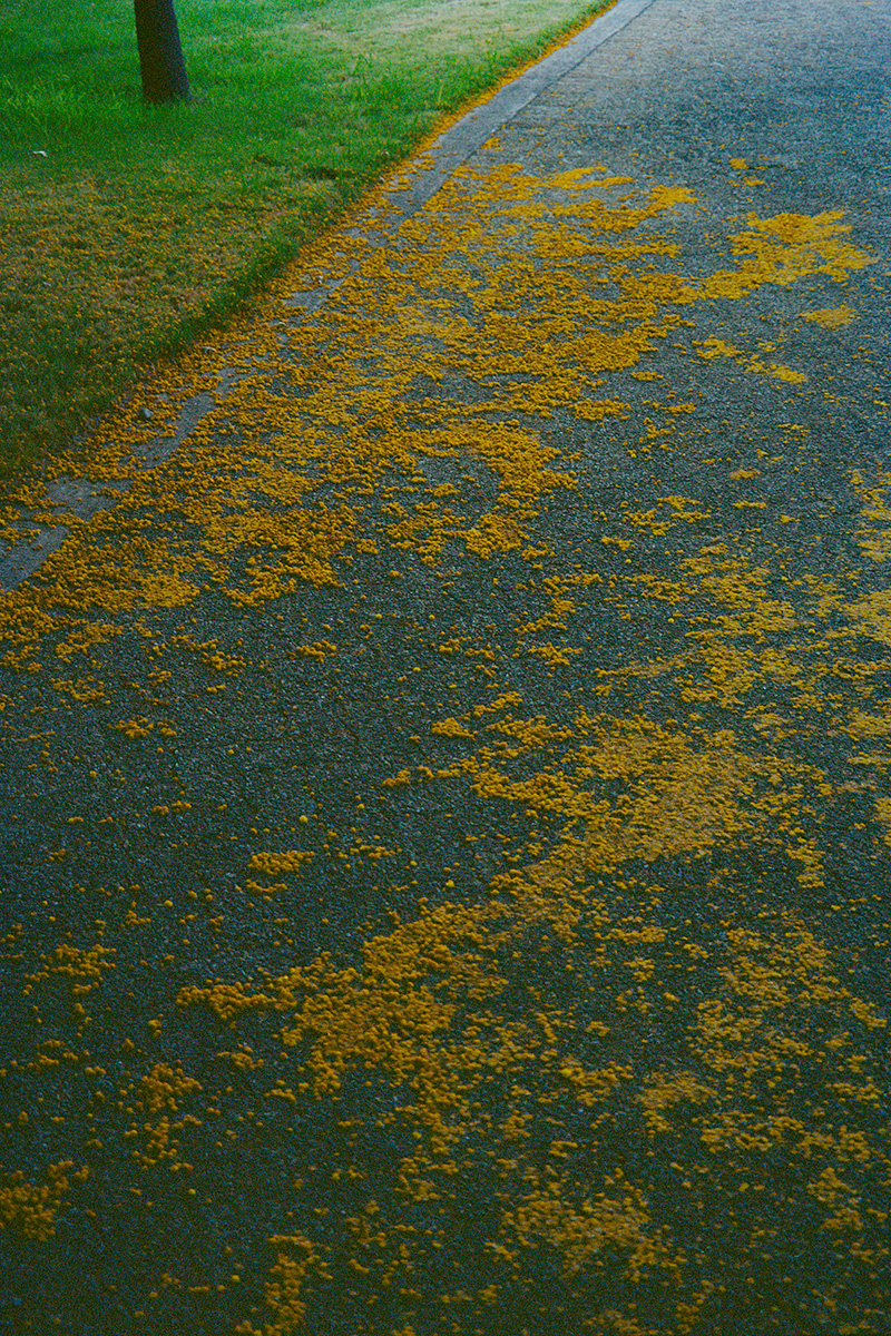 Ange-Frédéric Koffi