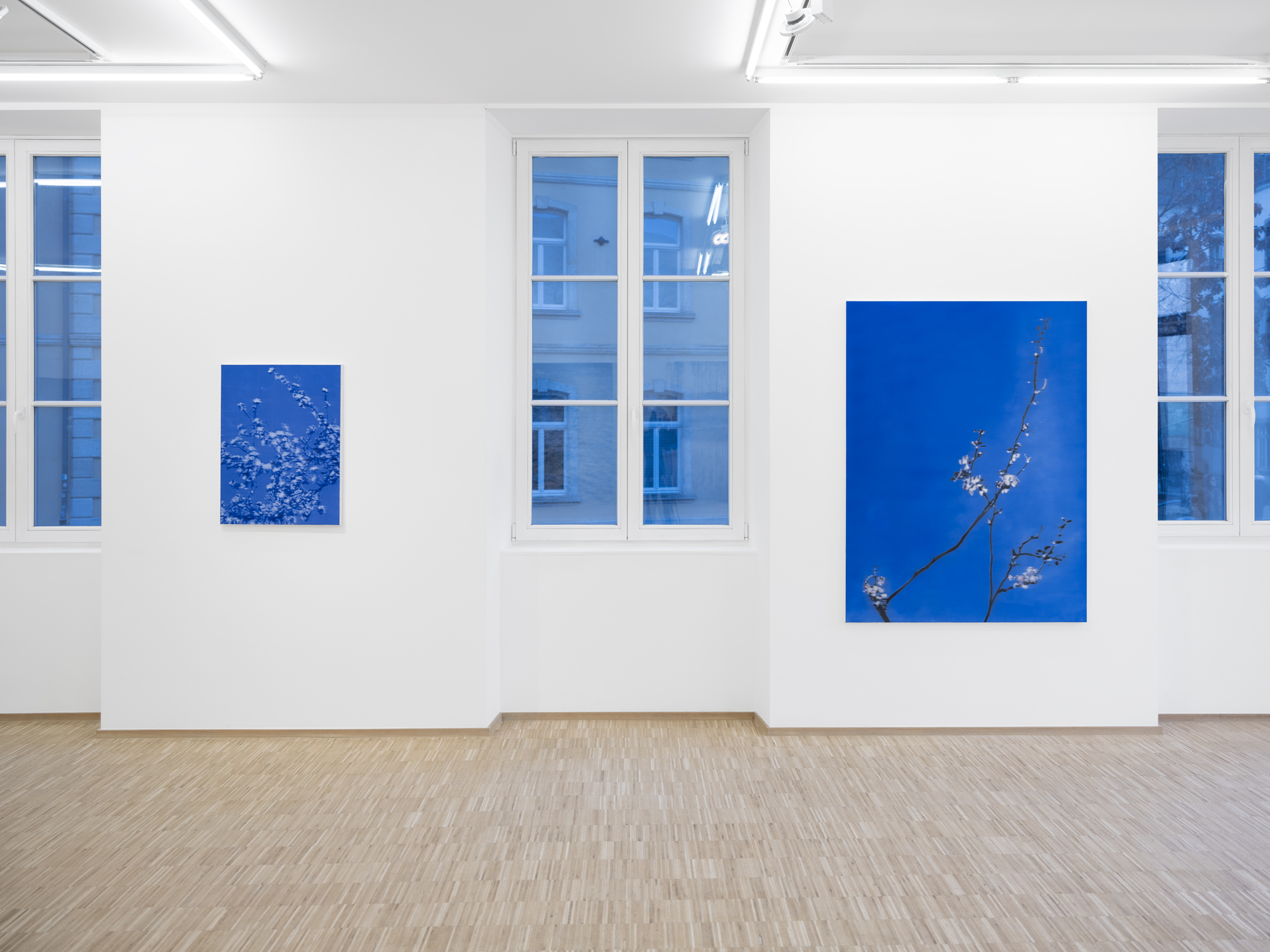 Exhibition view