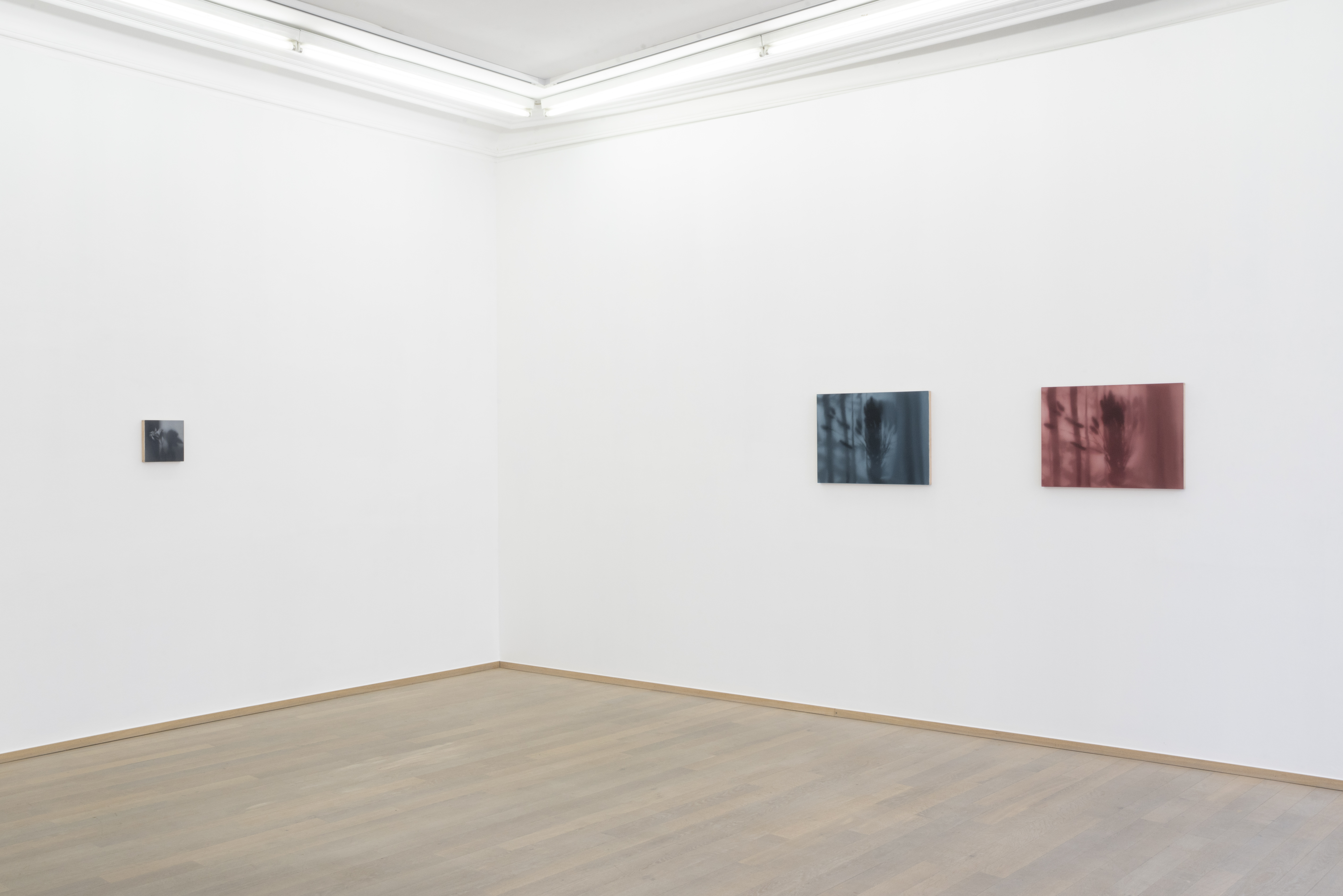 Exhibition view