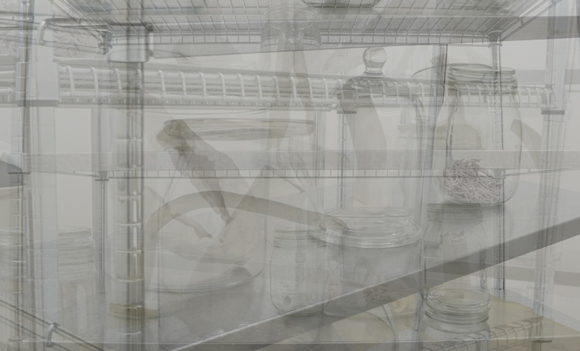Vitrine "CeCiL's Box by Hisae Ikenaga