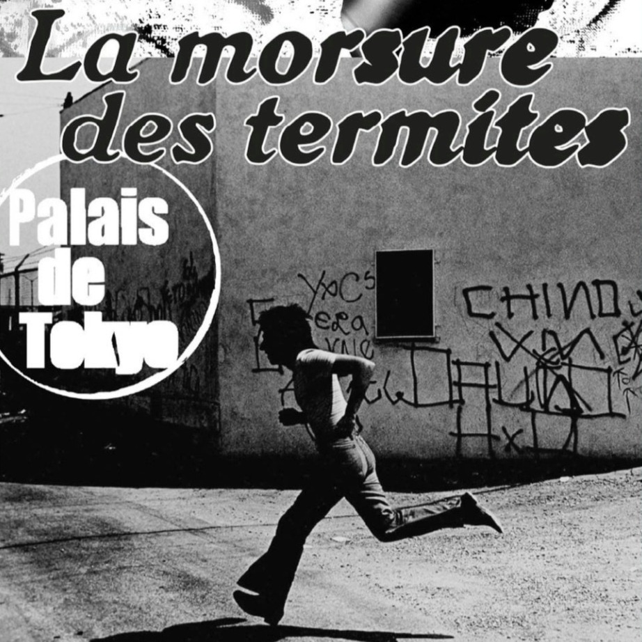 "La morsure des termites" | Aline Bouvy 