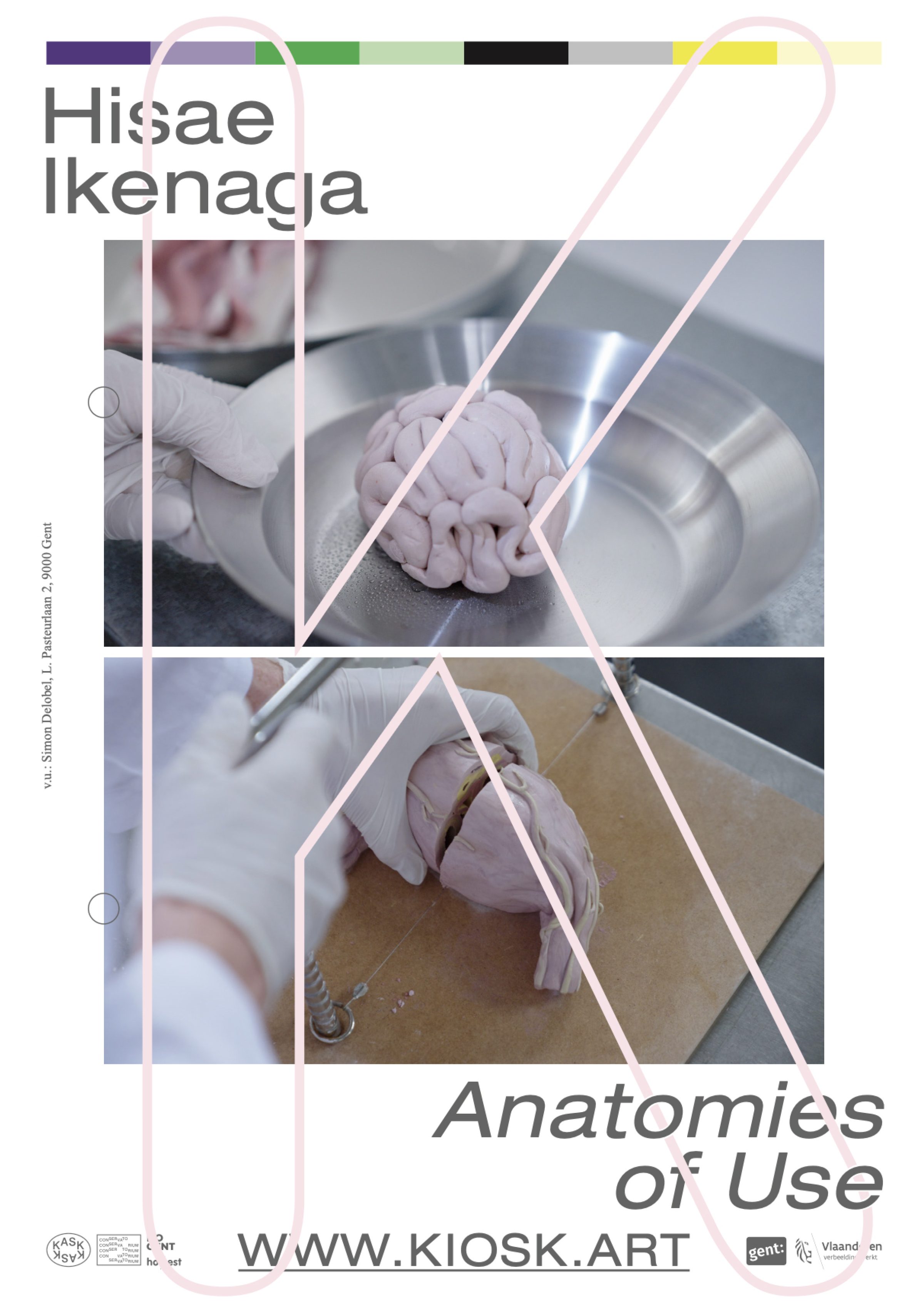 Hisae Ikenaga: Anatomies of Use